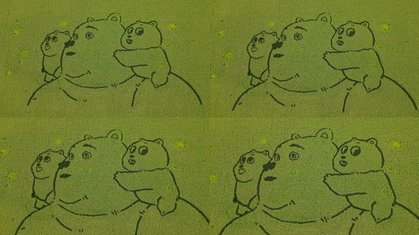 稻田卡通画  维尼熊