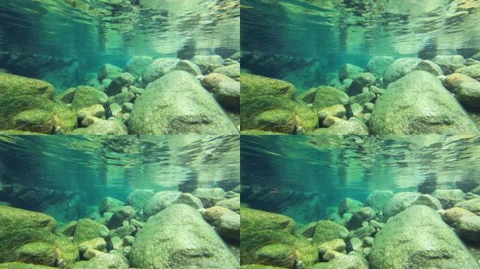 清澈的水底