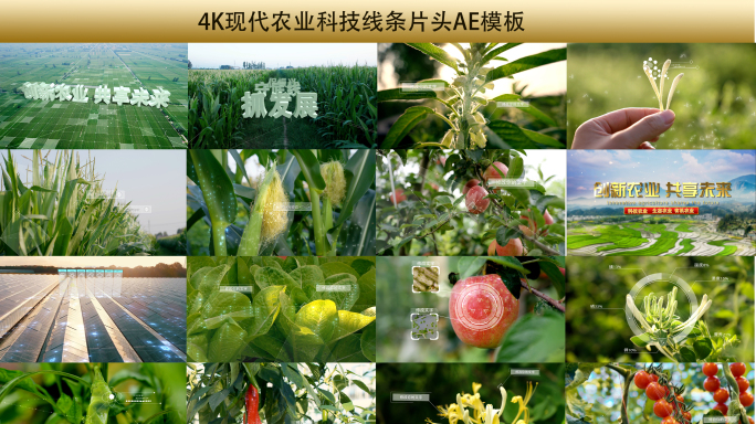 4K农业科技蔬菜水果AE片头模板