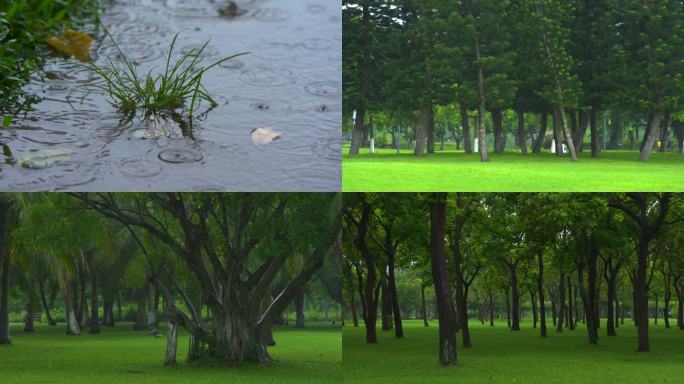 公园雨水