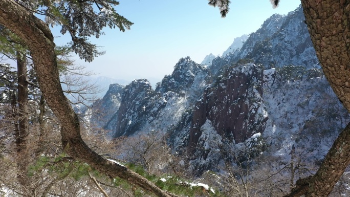 DJI0902黄山仙都峰穿过松树看见雪景