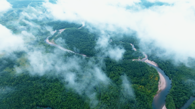 云中的森林河流