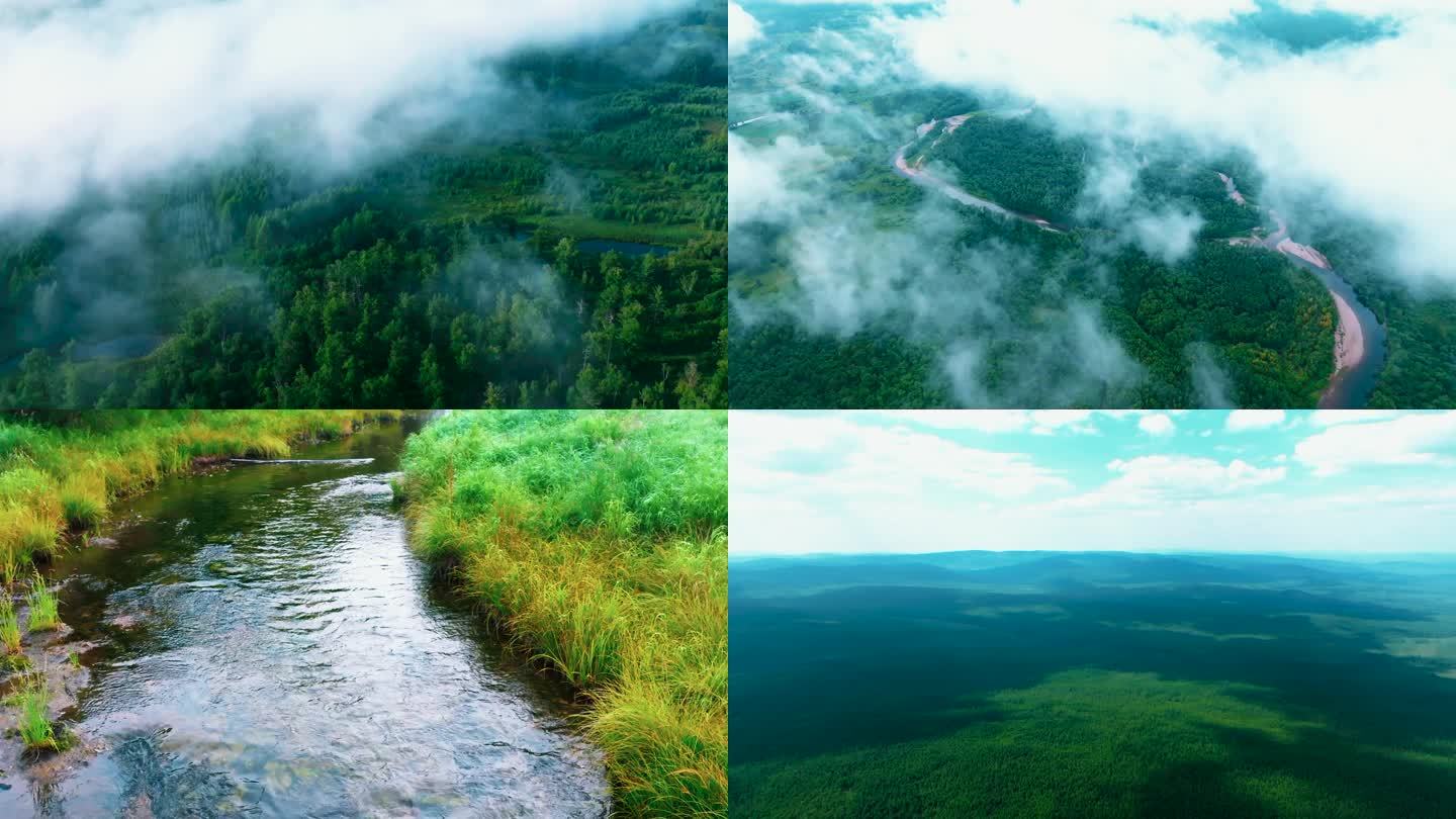 云中的森林河流