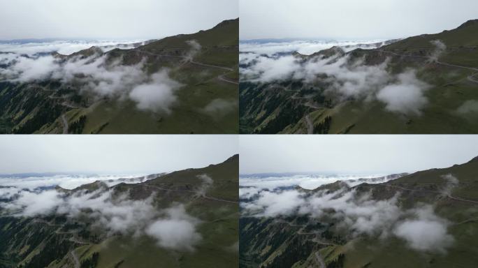 草原云雾   舒适风景   独库公路风光