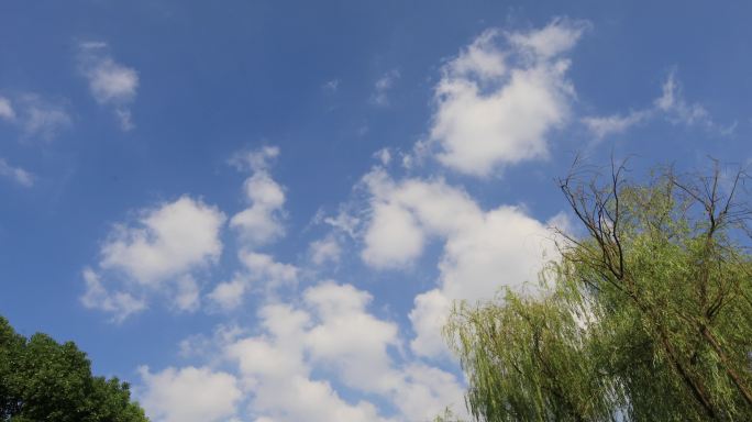夏日天空背景视频