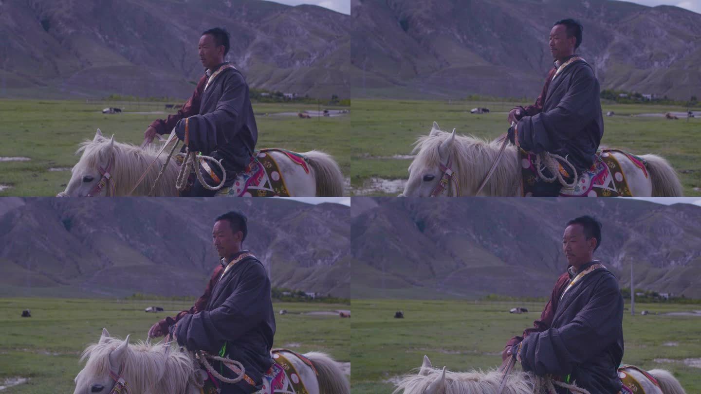 草原上河边 小溪边 白色马匹 藏族骑马