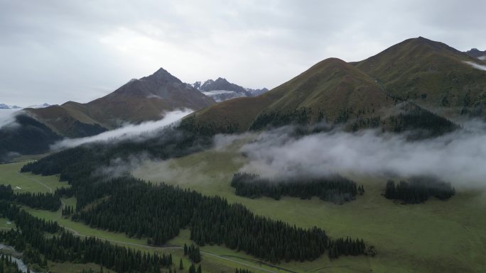 草原云雾   舒适风景   独库公路风光