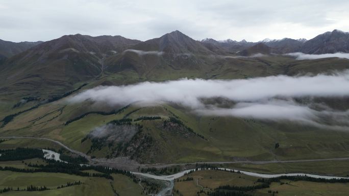 草原云雾   舒适风景   独库公路风光