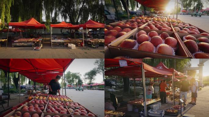 4k北京平谷水蜜桃市场