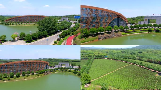 咸宁一步一景之赤壁羊楼洞茶文化生态产业园