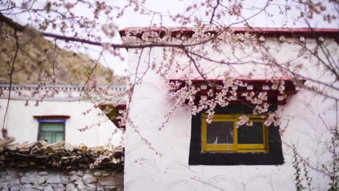 唯美空镜 中式庭院 影壁墙 西藏四合院