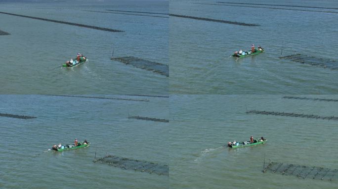 海上水产品生蚝养殖场