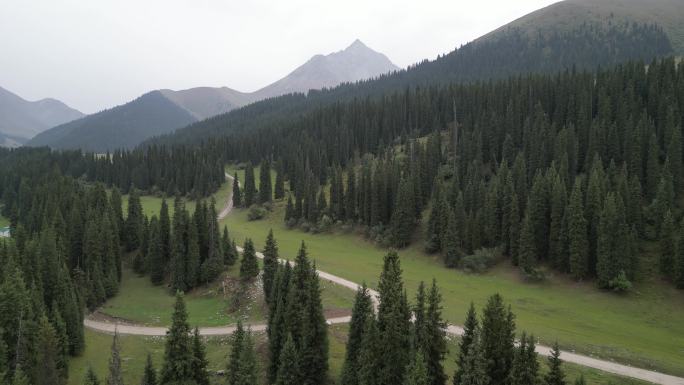 草原风光  晨雾弥漫  新疆风景