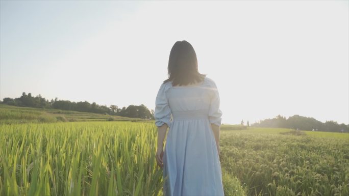 女生田间行走背影亲近自然自由自在文艺清新