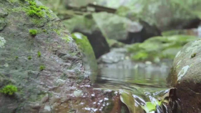 山山水水 溪水 绿色风光