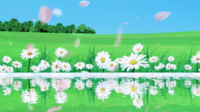 樱花飘落视频卡通背景