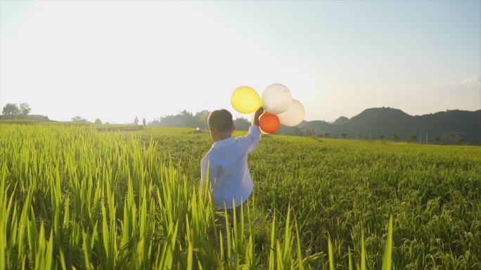 小男孩拿着气球田间玩耍欢乐童年时光儿童节