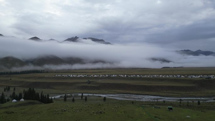 草原风光  晨雾弥漫  新疆风景