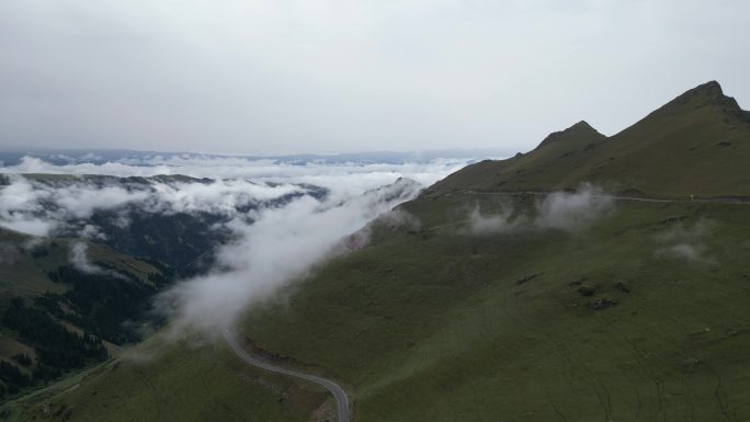 草原云雾   舒适风景   独库公路风光