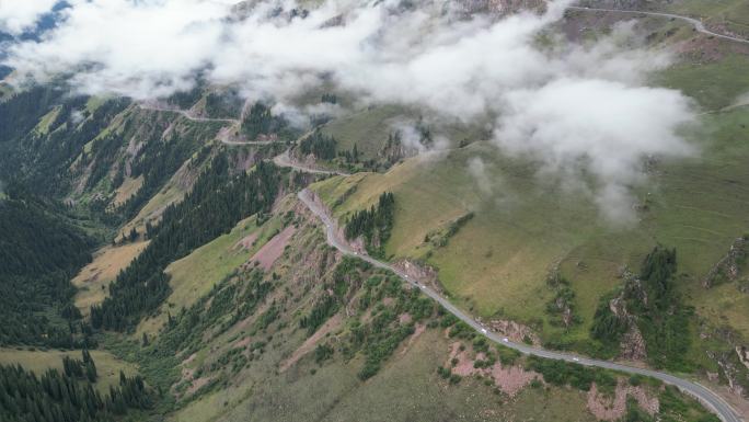 草原云雾   舒适风景   独库公路风光