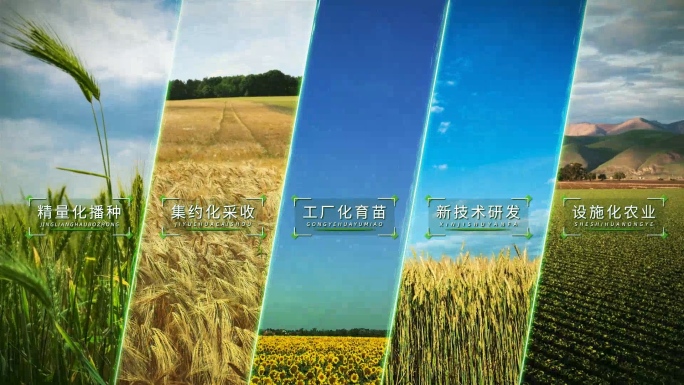 农业分屏视图展示