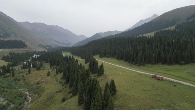 草原风光  晨雾弥漫  新疆风景