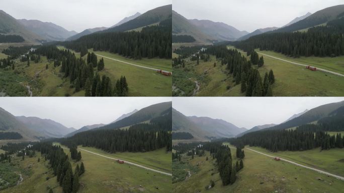 草原风光  晨雾弥漫  新疆风景