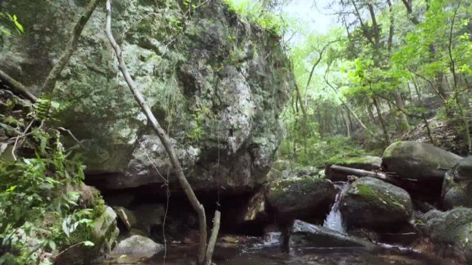 山山水水 溪水 绿色风光