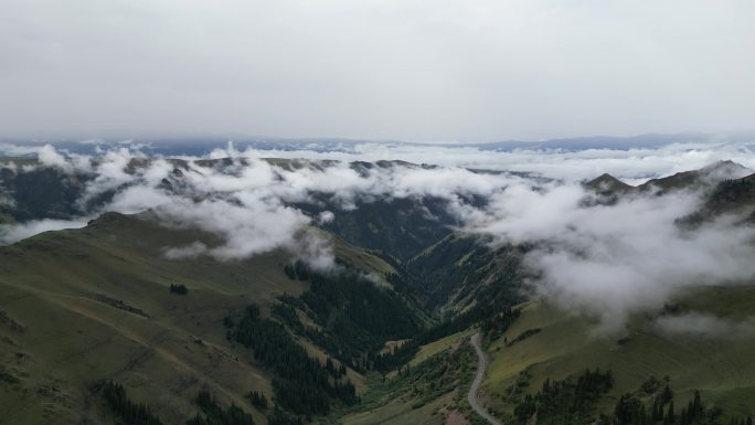 草原云雾   舒适风景   独库公路风光