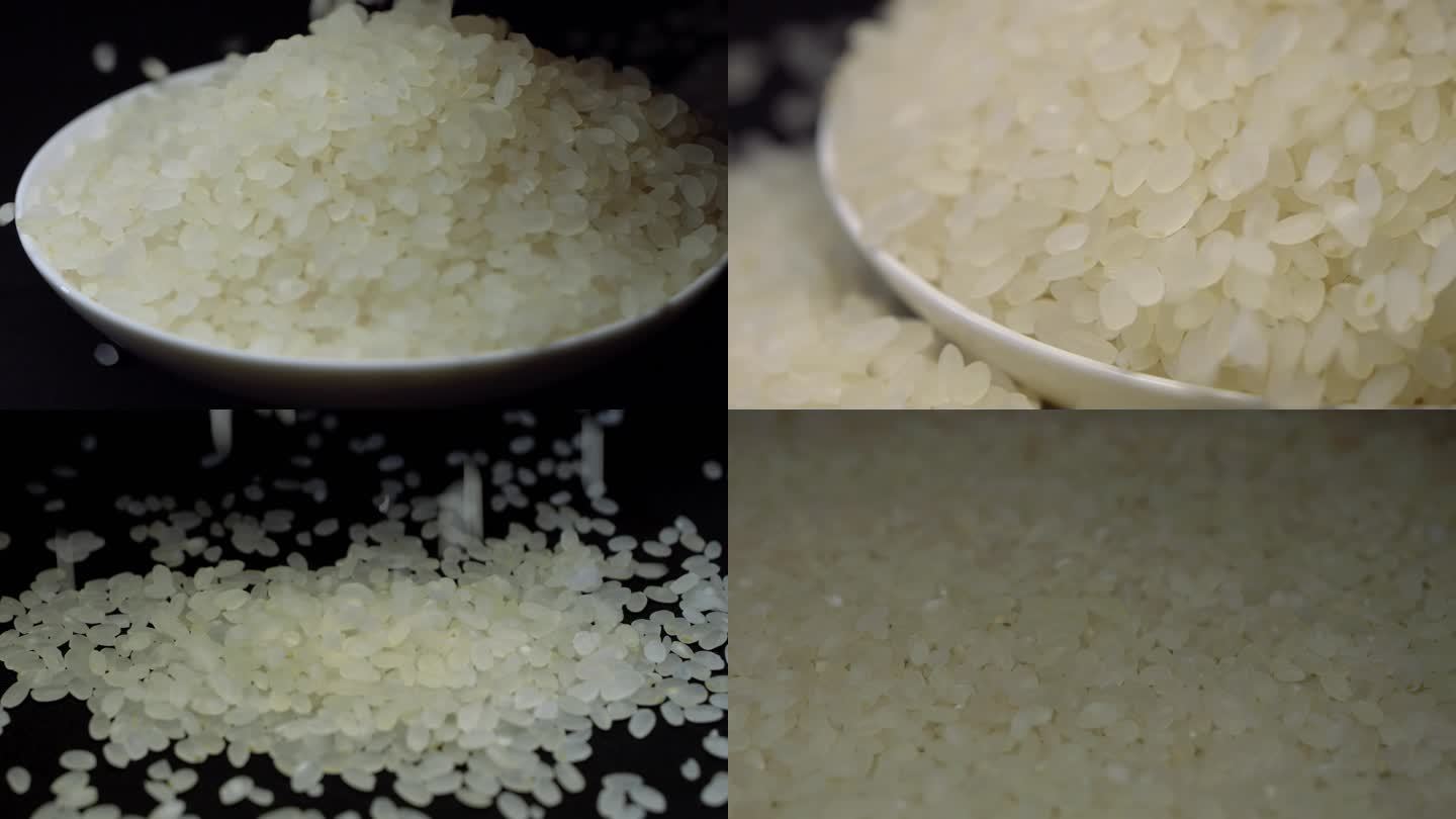 大米 珍珠米 家常大米 水稻 粮食 丰收