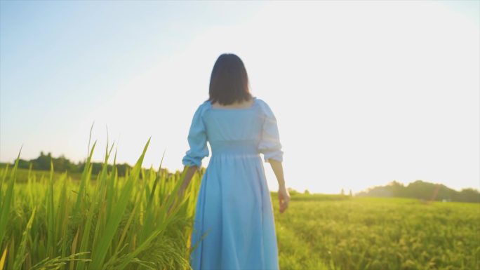 文艺清新女生田间行走背影亲近自然自由自在