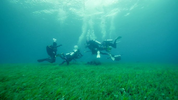 水下摄影海底草地实拍 1080 50帧