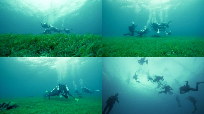 水下摄影海底草地实拍 1080 50帧