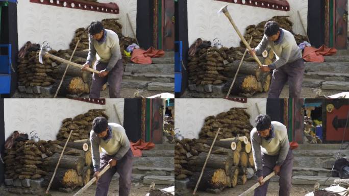 干树枝 农活 农村生活 陕北特色 劈柴