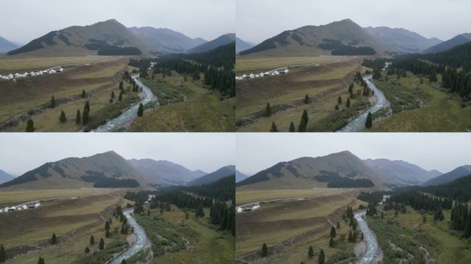 草原风光  晨雾弥漫  新疆风景