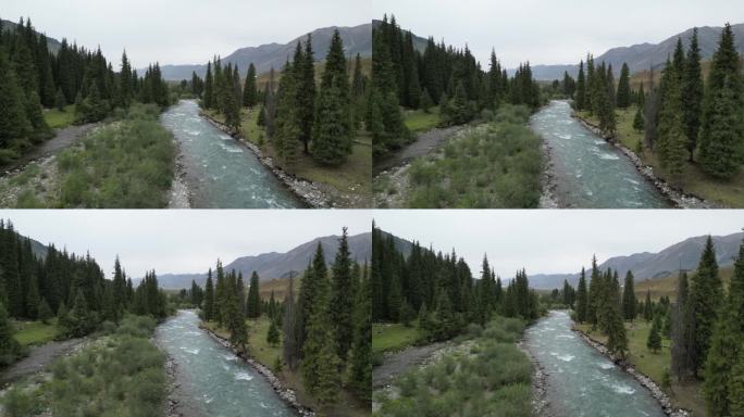高原森林  冰川河流   山谷溪流