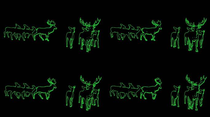 激光投影群鹿