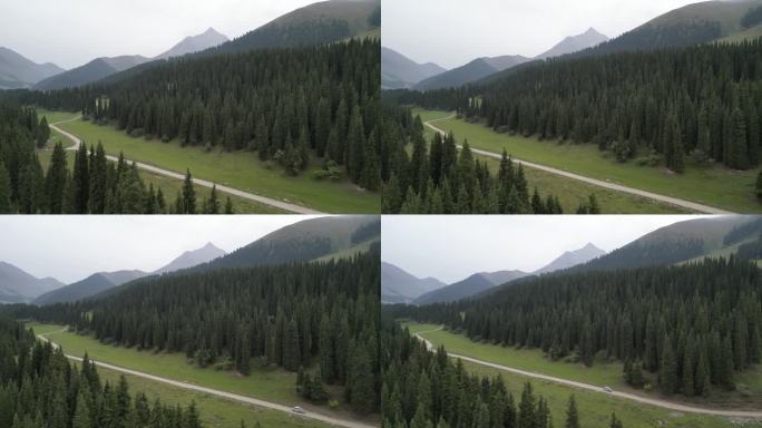 草原风光  晨雾弥漫  新疆风景