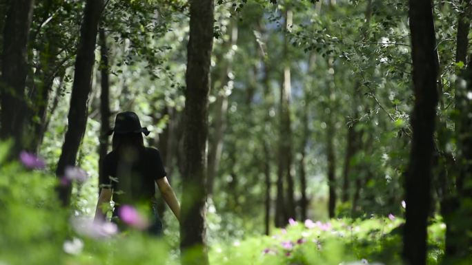 女性 脚步 树林 丛林漫步 山间 野林