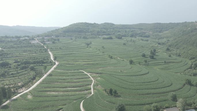 铜川市宜君县 风光