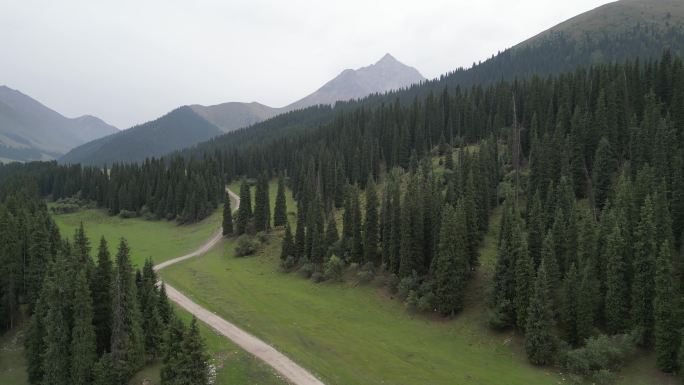 草原风光  晨雾弥漫  新疆风景