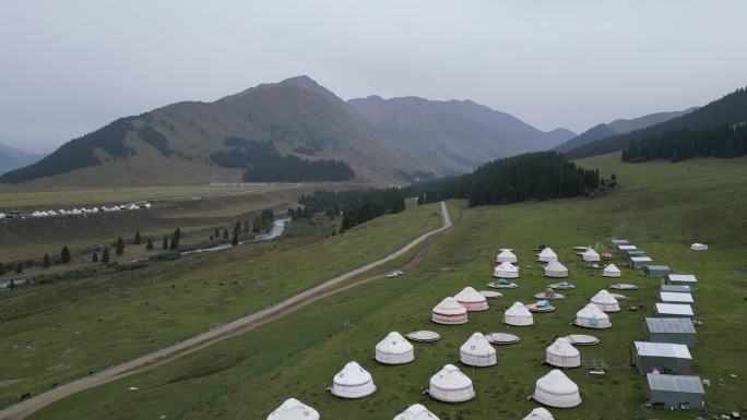 草原风光  晨雾弥漫  新疆风景