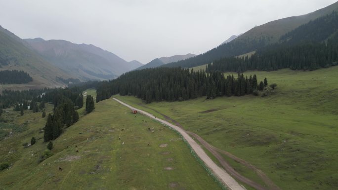 草原风光  晨雾弥漫  新疆风景