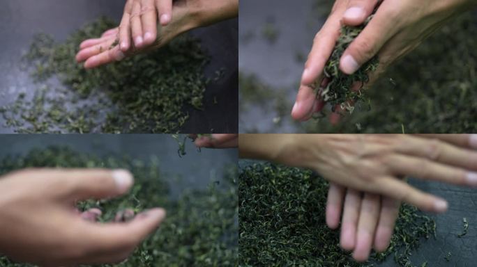 手工炒制茶叶搓茶