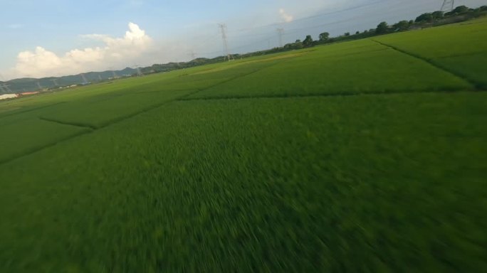 稻田穿越航拍