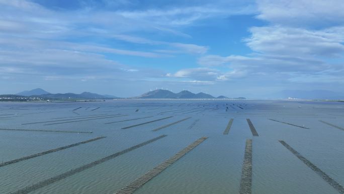 海上水产品生蚝养殖场