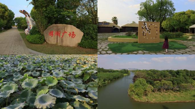 【合集】苏州太湖国家湿地公园合集