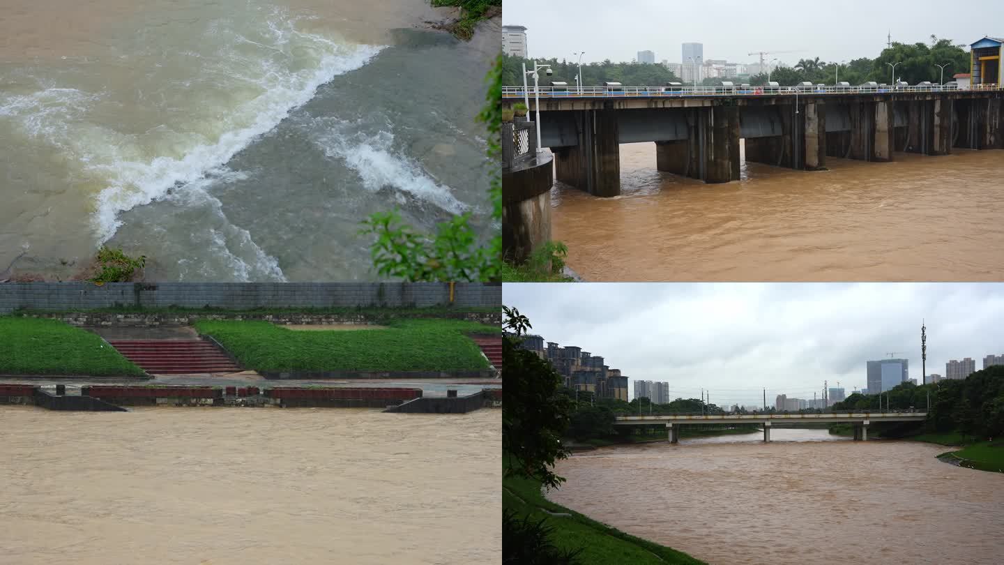 观澜河 河水 泄洪