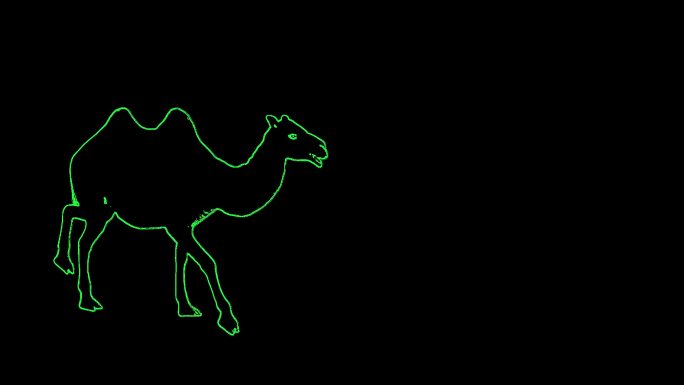 激光投影骆驼