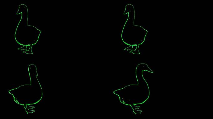 激光投影鸭